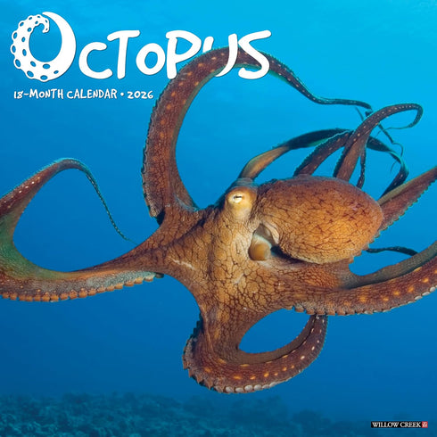 2026 OCTOPUS  WALL CALENDAR